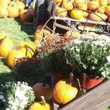 Windy Hill Orchard & Farm Market photo