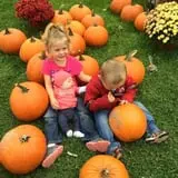 Windy Hill Orchard & Farm Market photo
