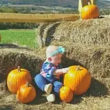 Windy Hill Orchard & Farm Market photo