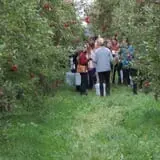 Windy Hill Orchard & Farm Market photo