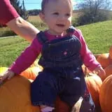 Windy Hill Orchard & Farm Market photo
