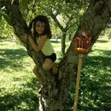 Windy Hill Orchard & Farm Market photo