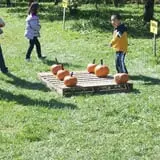 Windy Hill Orchard & Farm Market photo