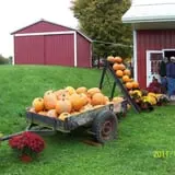 Windy Hill Orchard & Farm Market photo