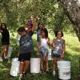 Windy Hill Orchard & Farm Market photo