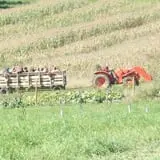 Windy Hill Orchard & Farm Market photo