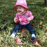 Windy Hill Orchard & Farm Market photo