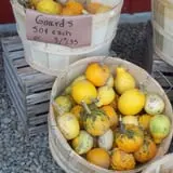 Windy Hill Orchard & Farm Market photo