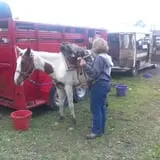 Lone Maple Farm photo