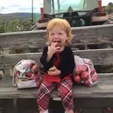 Lone Maple Farm photo