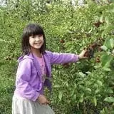 Lone Maple Farm photo