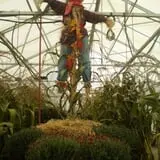 Lone Maple Farm photo