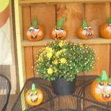 Lone Maple Farm photo