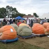Frerichs Farms photo