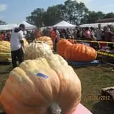 Frerichs Farms photo
