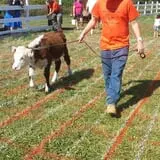 Frerichs Farms photo