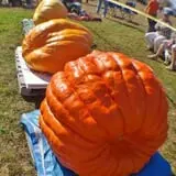 Frerichs Farms photo