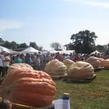 Frerichs Farms photo