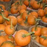 Frerichs Farms photo