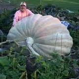 Frerichs Farms photo