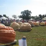 Frerichs Farms photo