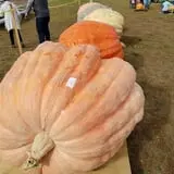 Frerichs Farms photo