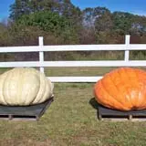 Frerichs Farms photo