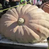 Frerichs Farms photo