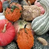 Frerichs Farms photo