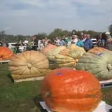 Frerichs Farms photo