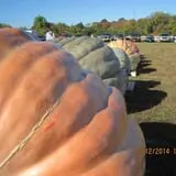 Frerichs Farms photo