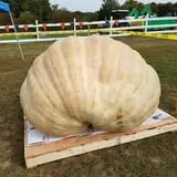Frerichs Farms photo