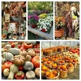 Frerichs Farms photo