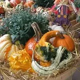 Frerichs Farms photo