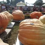 Frerichs Farms photo