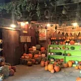Shady Knoll Farm photo