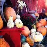 Shady Knoll Farm photo