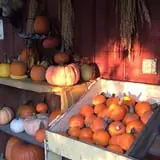 Shady Knoll Farm photo