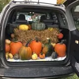 Shady Knoll Farm photo