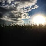 Shady Knoll Farm photo