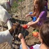 Pond Hill Farm photo