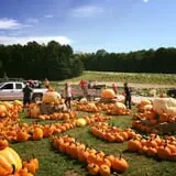 Pond Hill Farm photo
