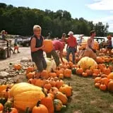 Pond Hill Farm photo