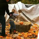 Pond Hill Farm photo