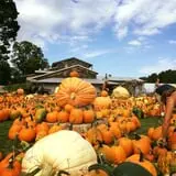 Pond Hill Farm photo