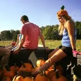 Pond Hill Farm photo