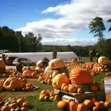 Pond Hill Farm photo
