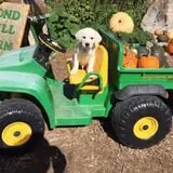 Pond Hill Farm photo
