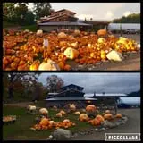 Pond Hill Farm photo