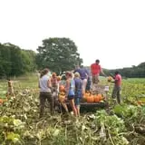 Pond Hill Farm photo